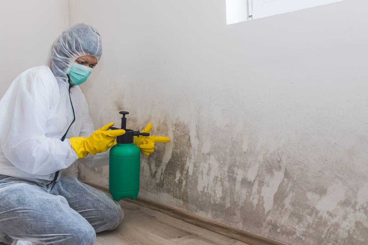Mold Remediation